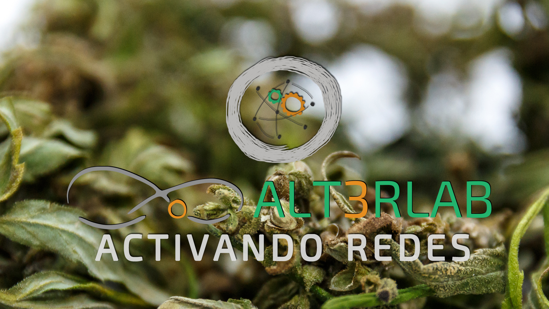 Buscando Alternativas Encontramos Soluciones